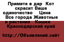 Примите в дар. Кот скрасит Ваше одиночество. › Цена ­ 0 - Все города Животные и растения » Кошки   . Краснодарский край